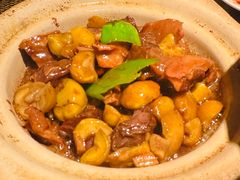板栗香焖牛腩-老客家·客家菜(万达店)