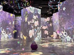 -杨梅红艺术教育(百花教学中心)