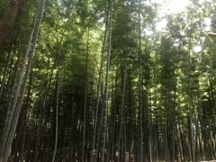 -同里国家湿地公园