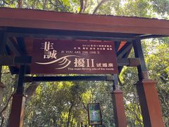 -亚龙湾热带天堂森林公园