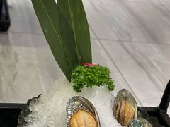 大连鲜鲍鱼-沄记顺德菜打边炉(东直门店)