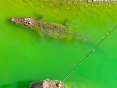 -石家庄市动物园