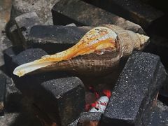 -郑厨私房菜