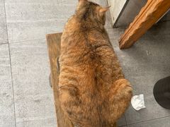 -大邑李记肥肠血旺