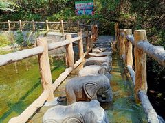 -王顺山国家森林公园
