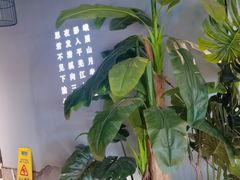 -渝乡辣婆婆·川菜 水煮鱼(安平店)