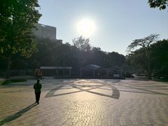 -石排湾郊野公园