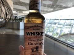 -盖达尔·阿利耶夫国际机场