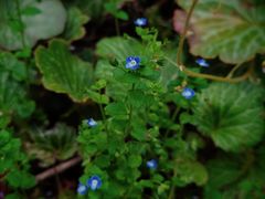 -苏州河梦清园环保主题公园