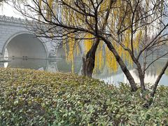 -尚贤河湿地