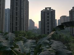 -半秋山西餐厅(巴南万达广场店)