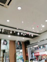-环球蝶上美业连锁