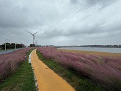 -小洋口旅游度假区