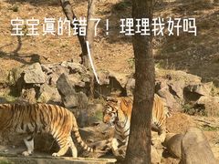 -杭州野生动物世界