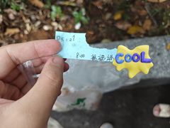 -六广门毛阿姨糯米饭