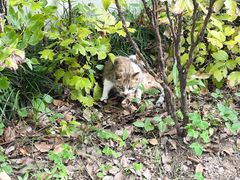 -狼山风景名胜区