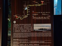 -深圳湾公园(南山区)