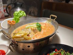 -佬肥猫(国华广场店)