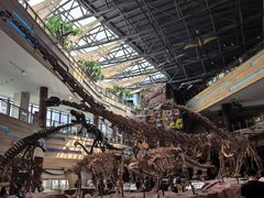 -安徽省地质博物馆