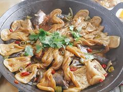 -八次方密云水库鱼粘卷子·熏鸽子·农家菜