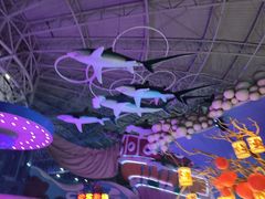 -烟台海昌鲸鲨海洋公园