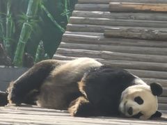 -南昌动物园