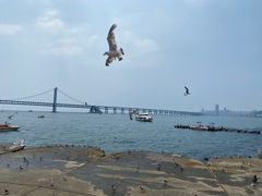 -星海广场