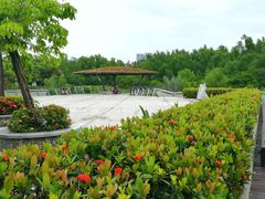 -大亚湾红树林城市湿地公园