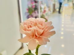 -银座mall(东直门店)