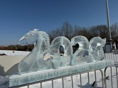 -沈阳奥体冰雪嘉年华