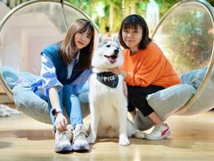 -Husky Go! 哈士奇体验馆·宠物咖啡厅狗咖