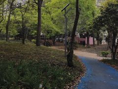-美兰湖景区