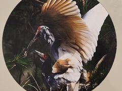 -下渚湖国家湿地公园科普馆