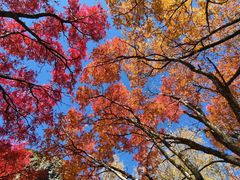 -叠溪松坪沟景区