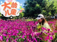 -长春公园(普阳街道)