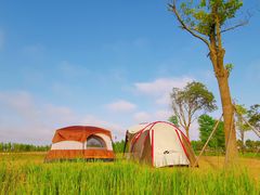 -春花秋色城市公园