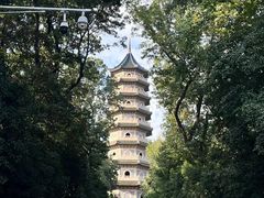 -灵谷景区
