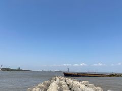 -上海滨江森林公园