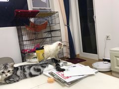 -联合动物医院(光谷诊疗中心)