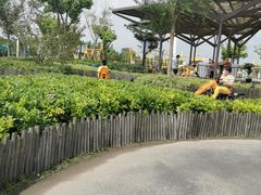 -季高兔窝窝亲子园(上海薰衣草公园店)