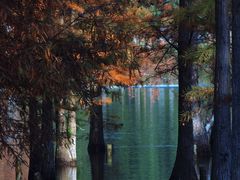 -白鹭湾湿地公园