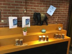 -时尚殿堂·颜SPA