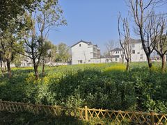 -同里国家湿地公园