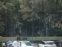 -竹上云想餐厅民宿