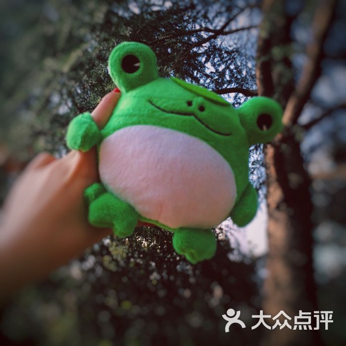 汤姆熊(南丰城店)图片 - 第281张