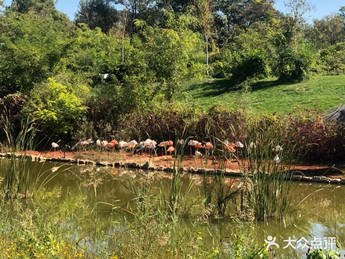 玫瑰汤泉酒店图片