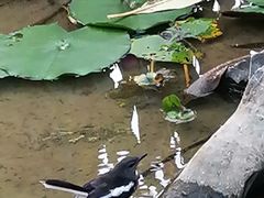 -广州从化都喜泰丽度假酒店温泉