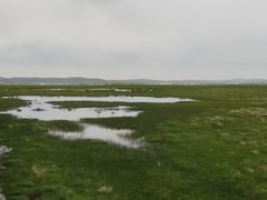 -花湖生态旅游区