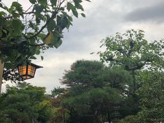 -料亭菊水楼