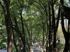 -忠山公园